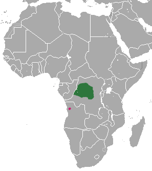 Angolan kusimanse